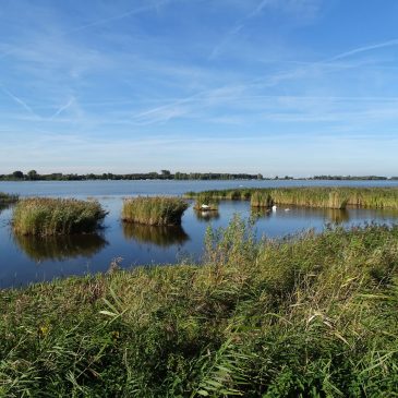 Veluwemeer