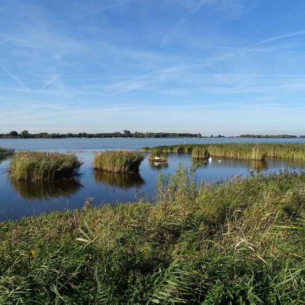 Veluwemeer