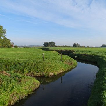 Bulsinkbeek (Veluwemeer)