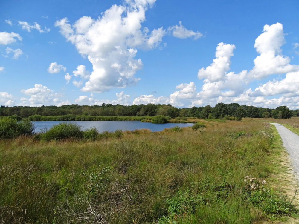 Ven in Dwingelderveld