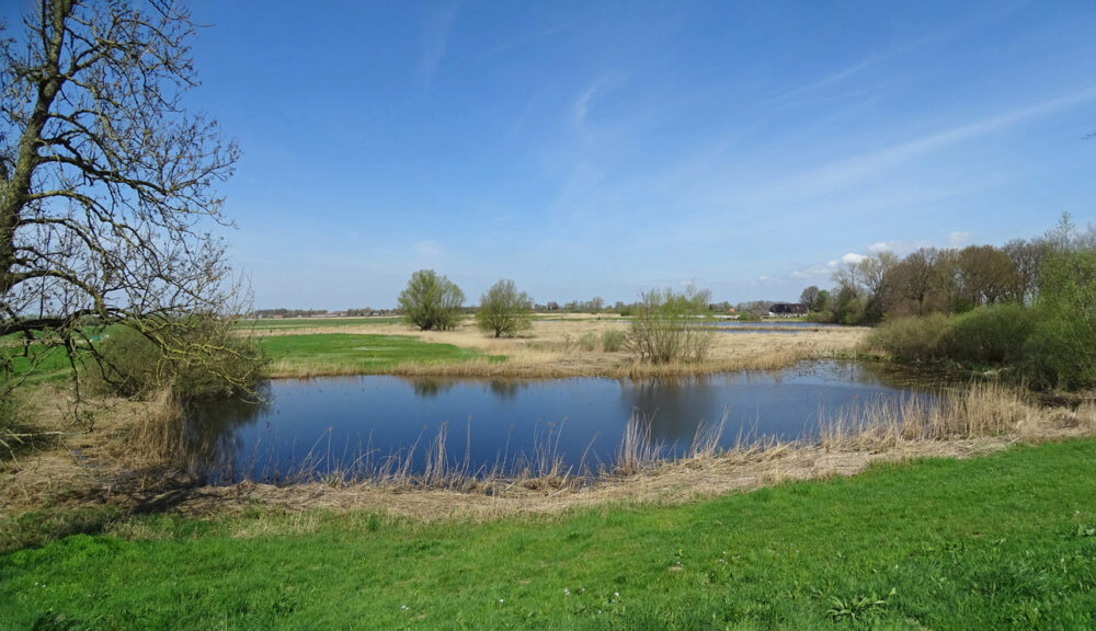 Ven in uiterwaarden van Zwarte Water