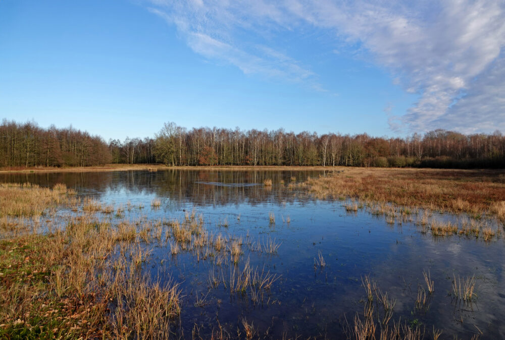 Ven op Landgoed Vossenberg