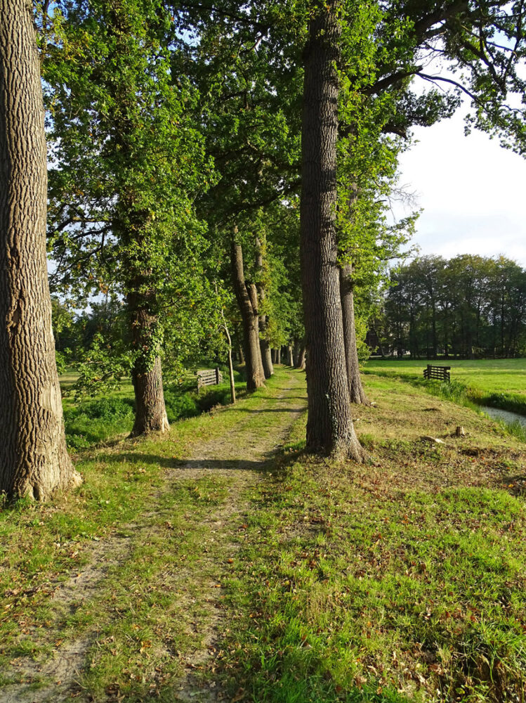 Vennebroek