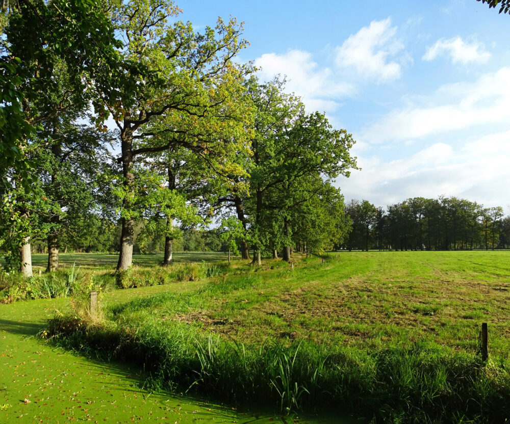 Vennebroek najaar
