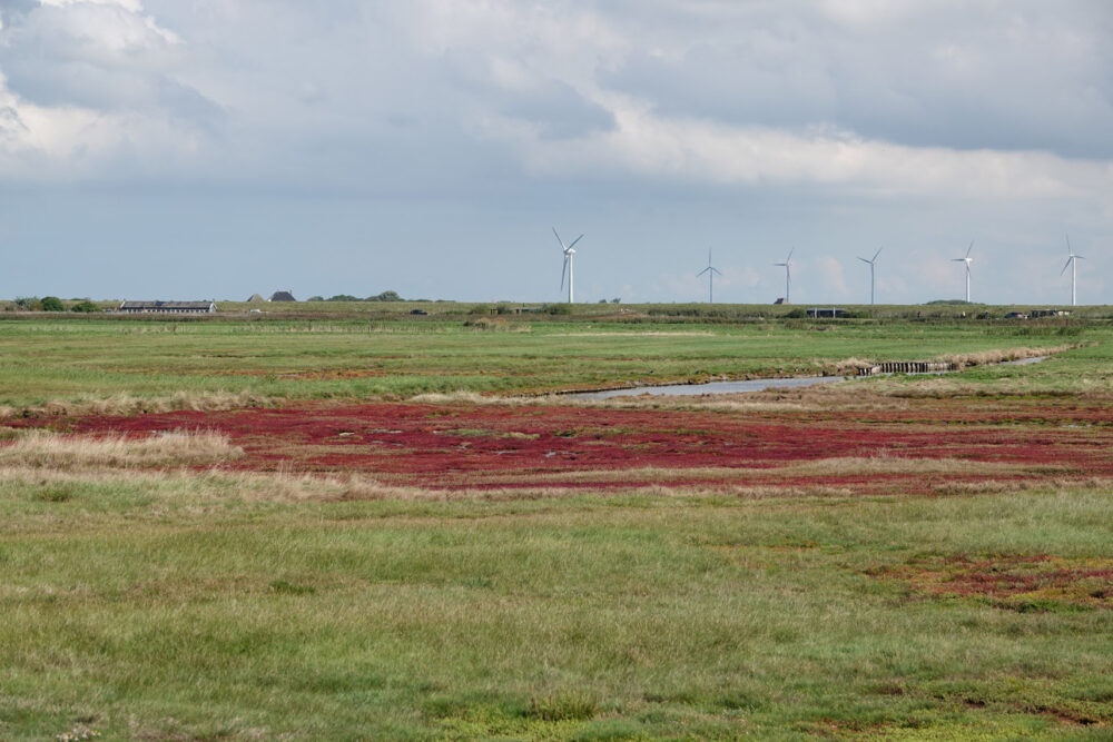 Vereenigde Harger- en Pettemerpolder