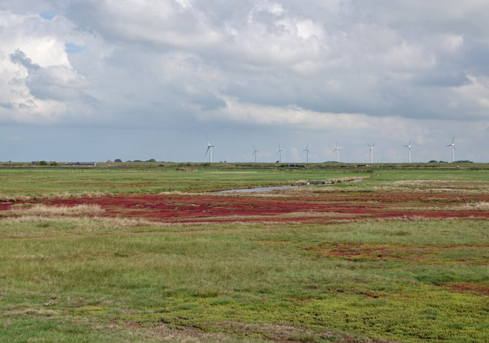 Vereenigde Harger- en Pettemerpolder