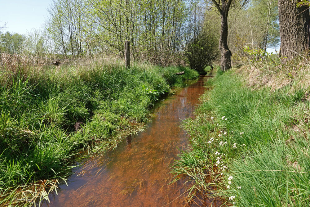 Verloren beek in het Wisselse Veen