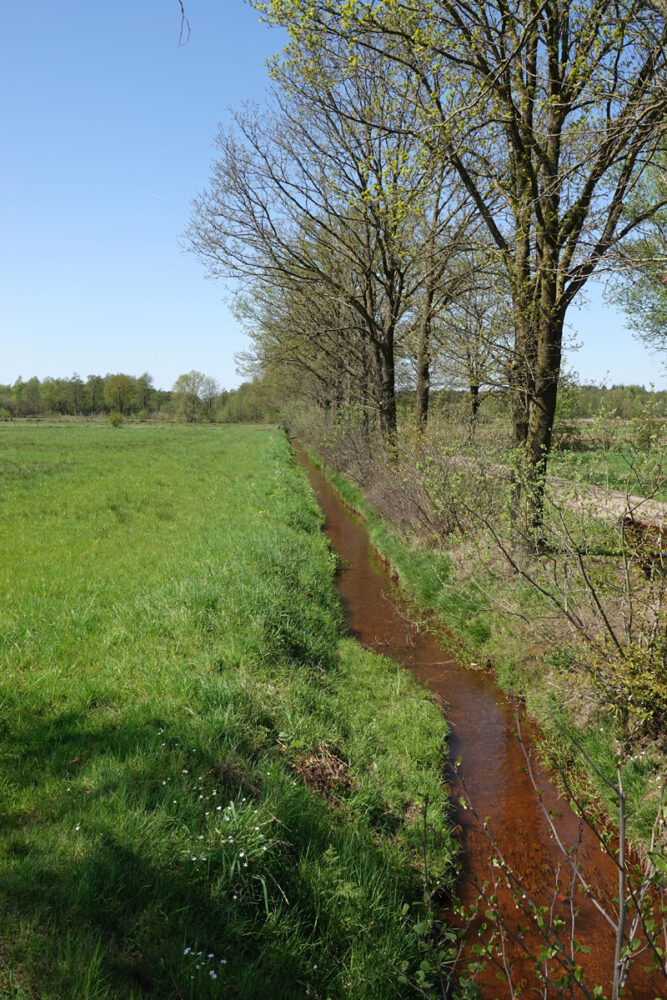 Verloren beek in het Wisselse Veen