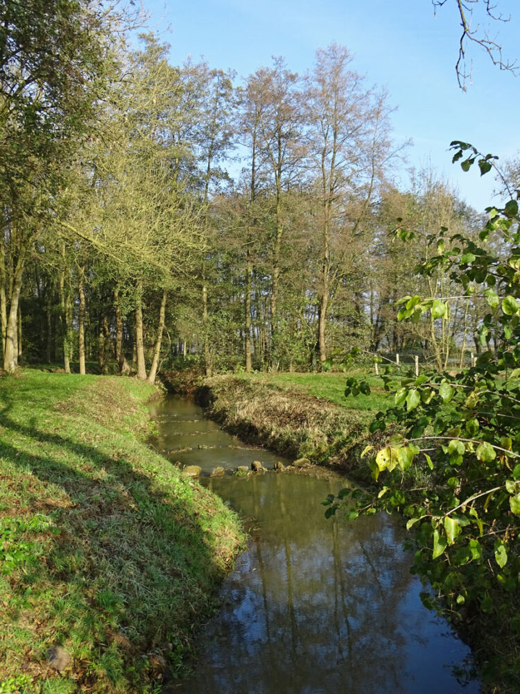 Vistrap in Deurzerdiep (Drentsche Aa)