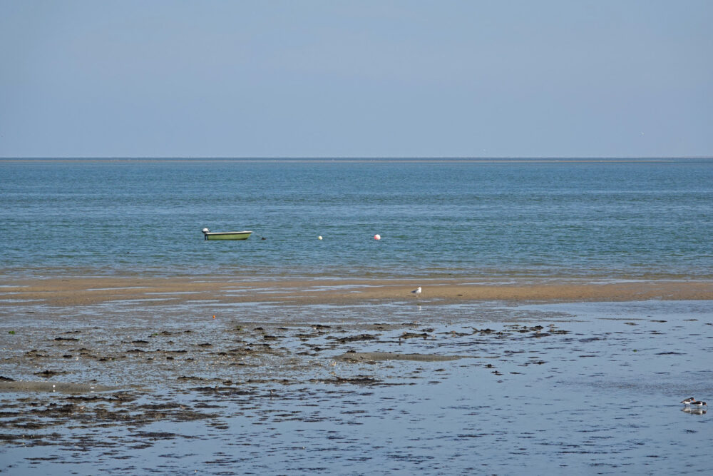 Volharding