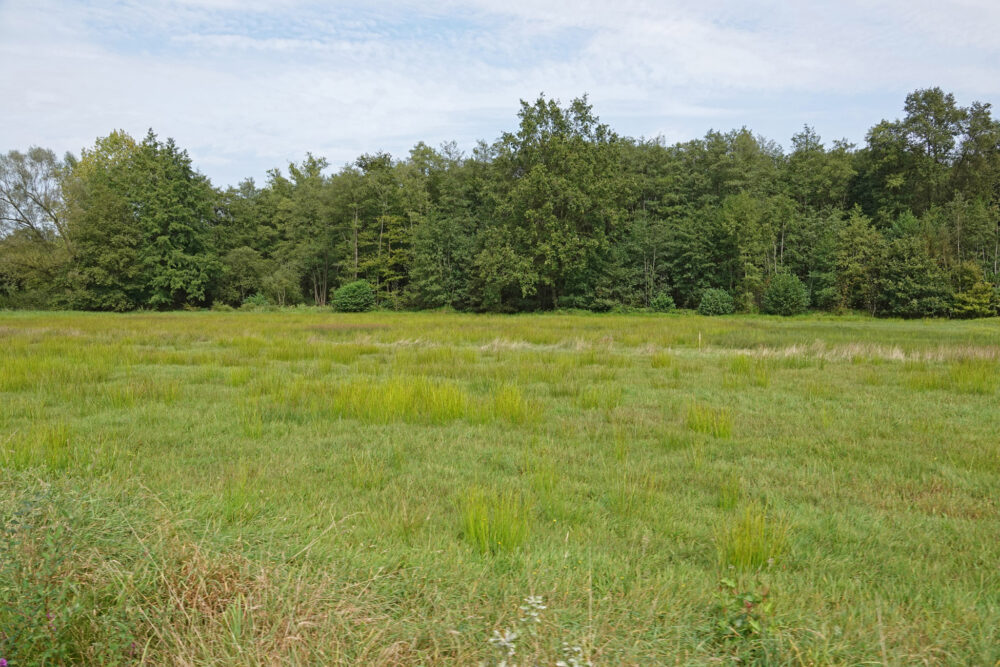 Voltherbroek