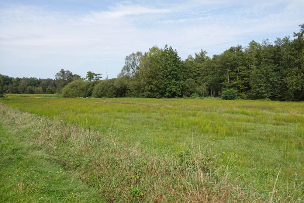 Voltherbroek