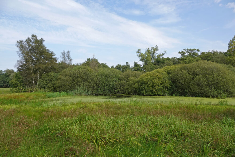 Voltherbroek