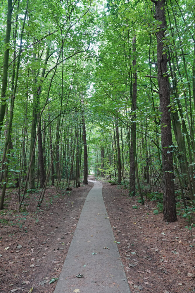 Voorsterbos