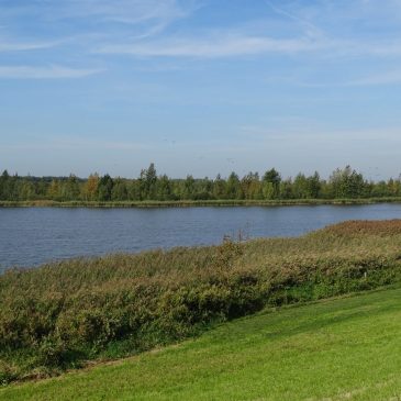 Vossemeer