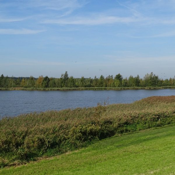 Vossemeer
