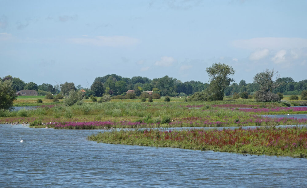 Vreugderijkerwaard