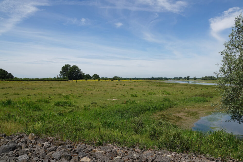 Vreugderijkerwaard