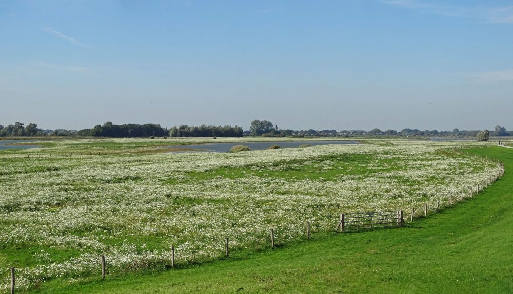 Vreugderijkerwaard