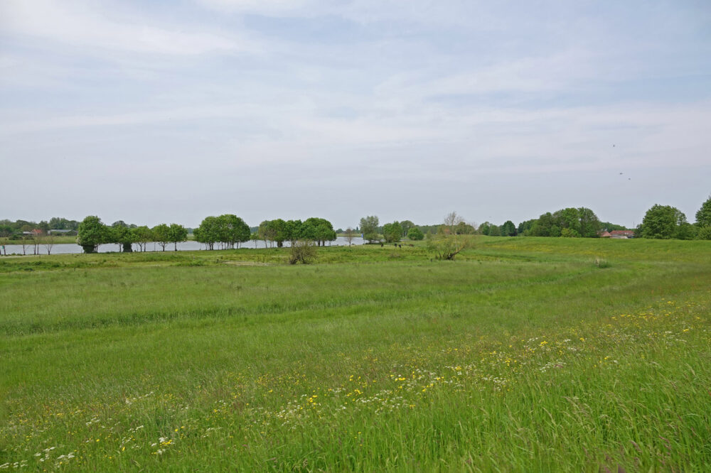 Vreugderijkerwaard (IJsselvallei)