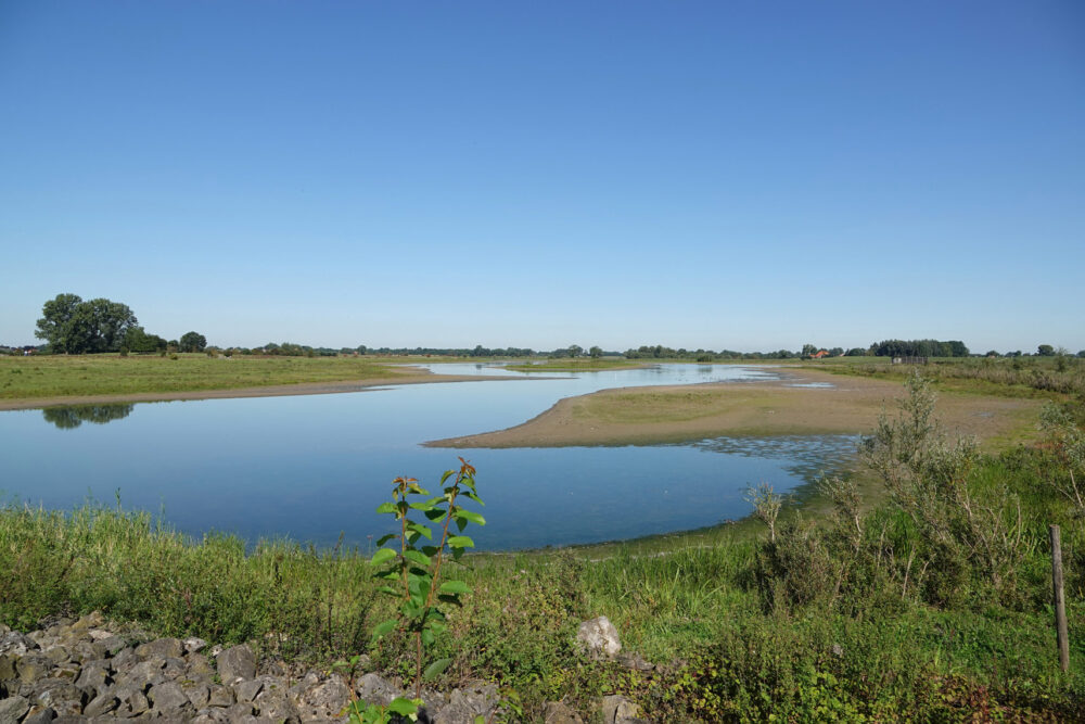 Vreugderijkerwaard in het najaar
