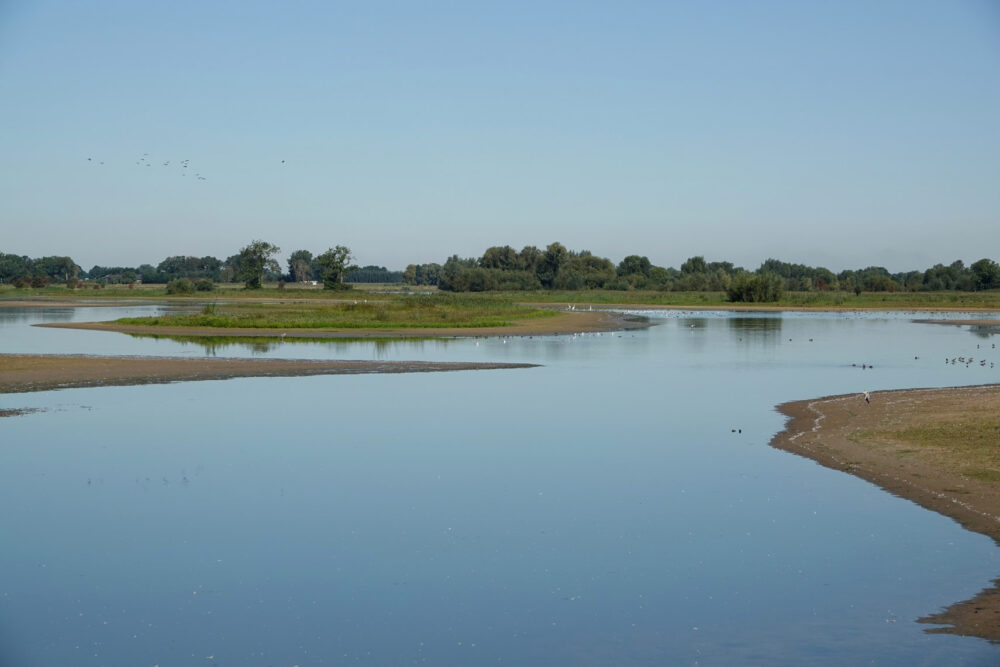 Vreugderijkerwaard in het najaar