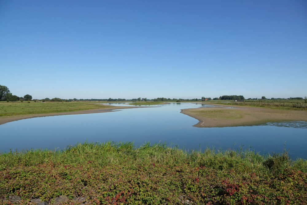 Vreugderijkerwaard in het najaar