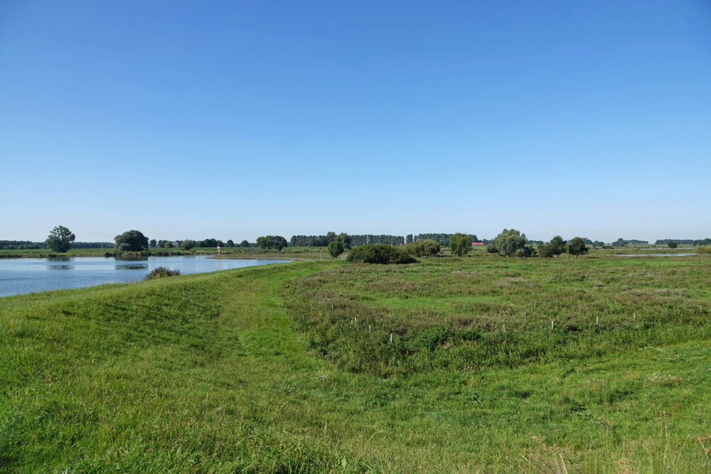 Vreugderijkerwaard in het najaar