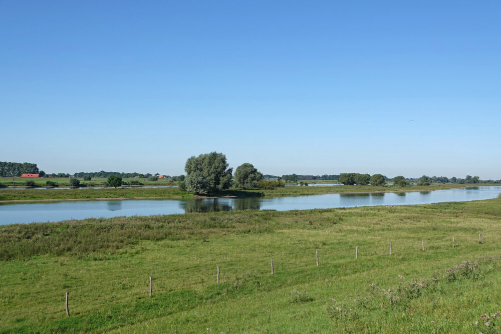 Vreugderijkerwaard in het najaar