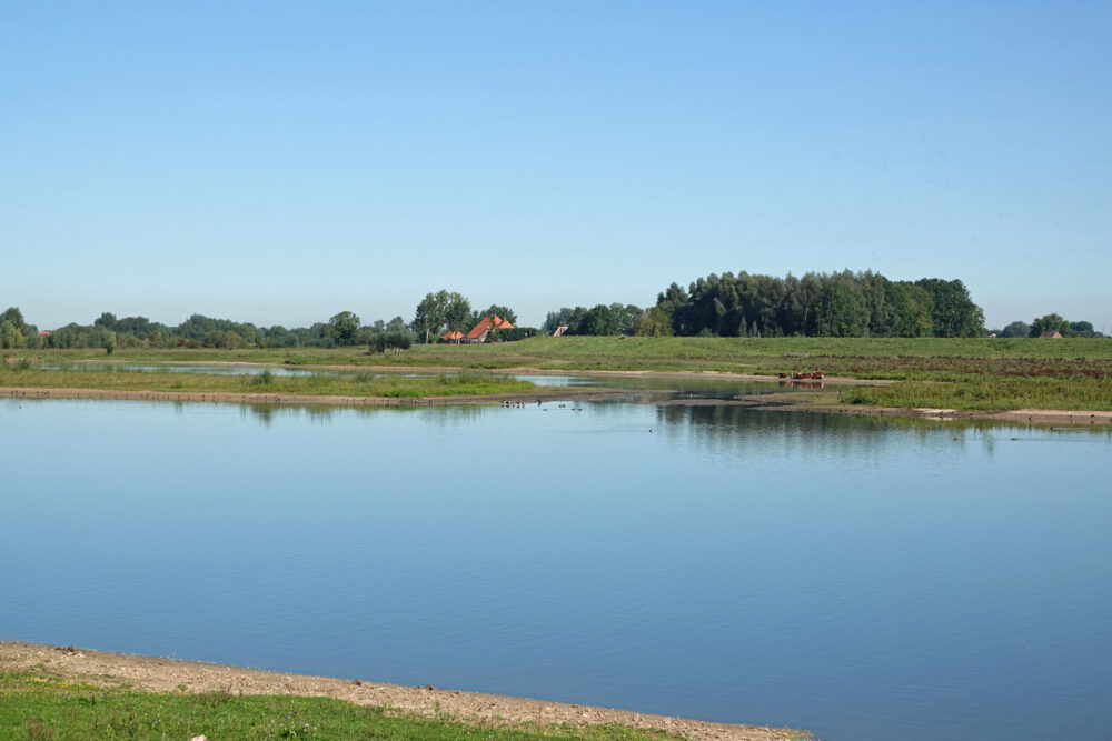 Vreugderijkerwaard in het najaar