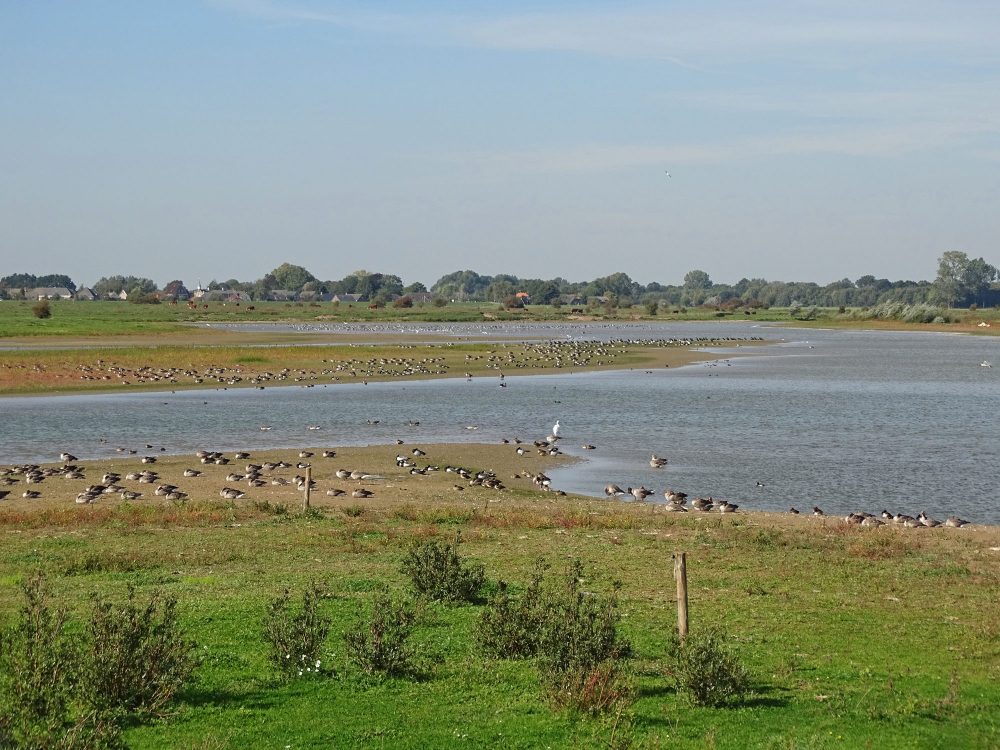 Vreugderijkerwaard