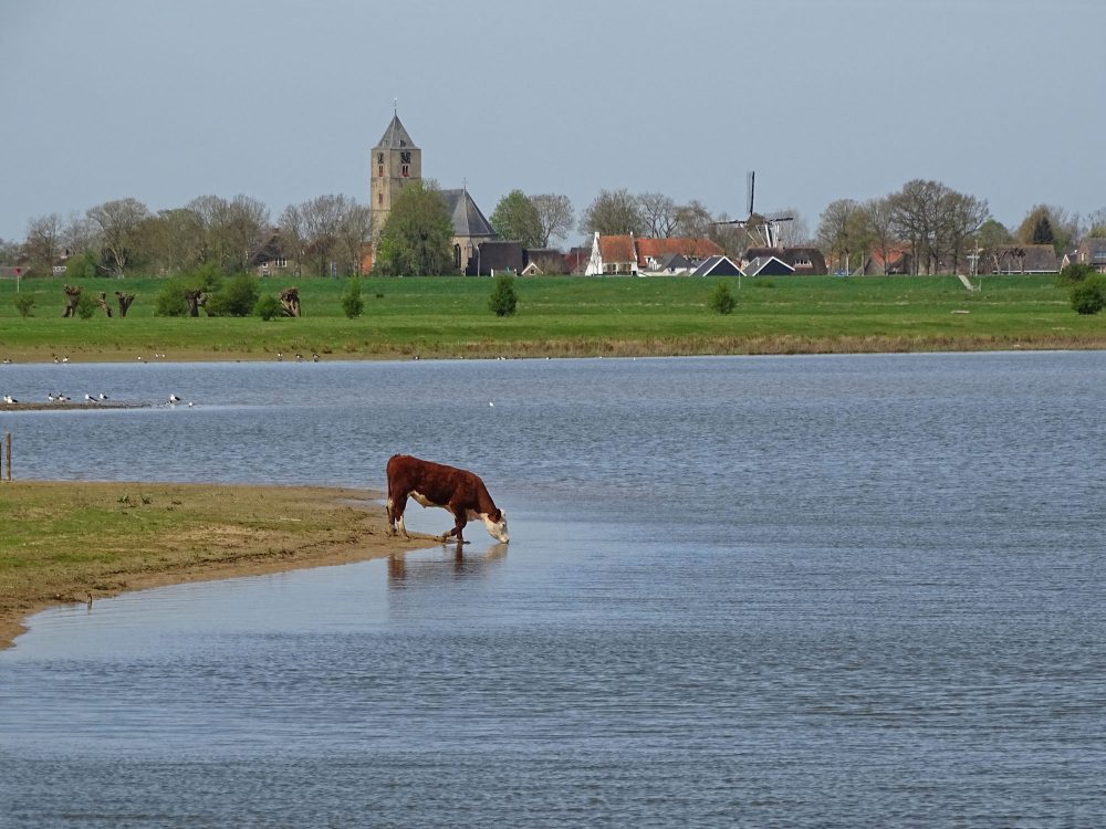Vreugderijkerwaard