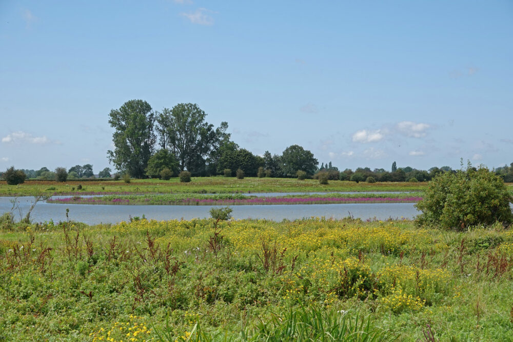 Vreugderijkerwaard