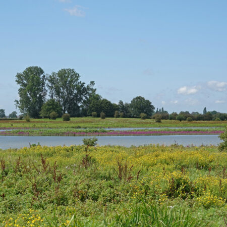 Vreugderijkerwaard