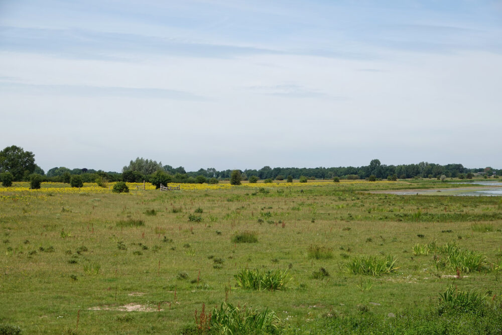 Vreugderijkerwaard