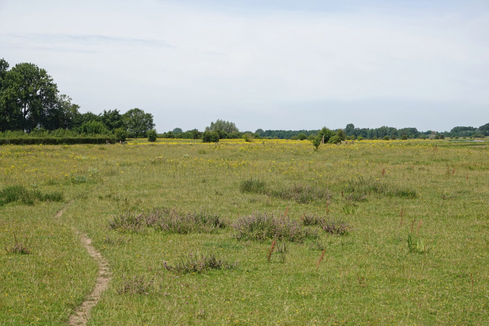 Vreugderijkerwaard
