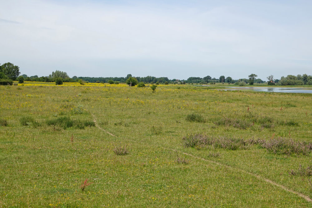 Vreugderijkerwaard