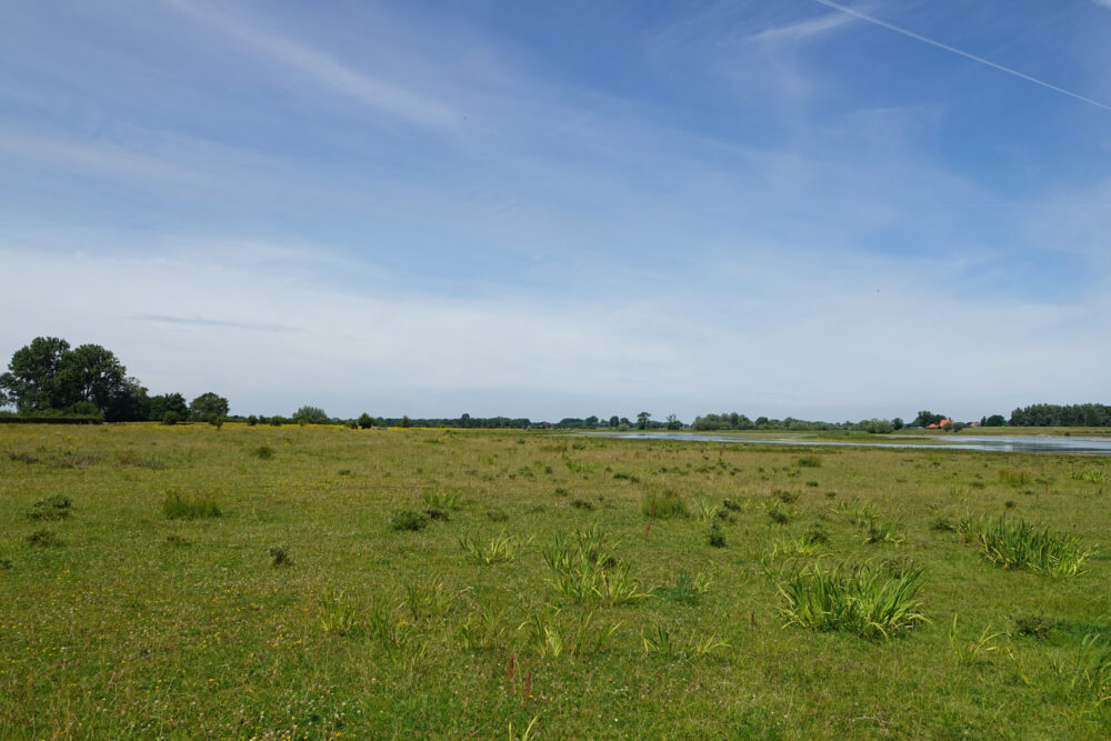 Vreugderijkerwaard