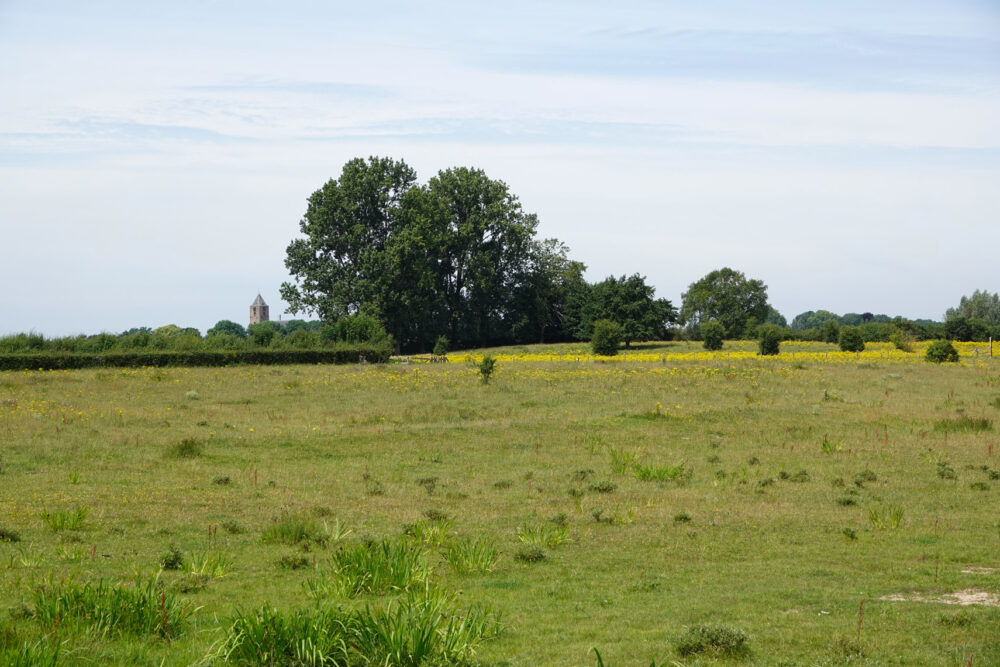 Vreugderijkerwaard