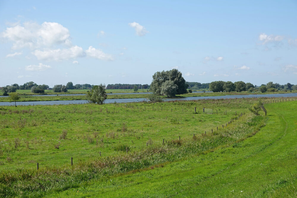 Vreugderijkerwaard