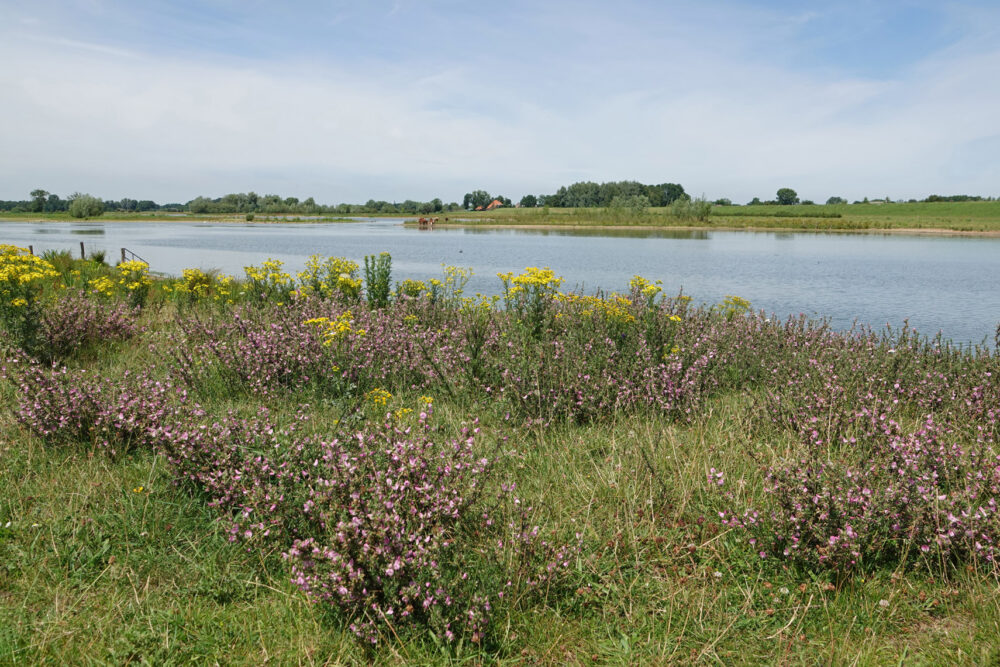 Vreugderijkerwaard