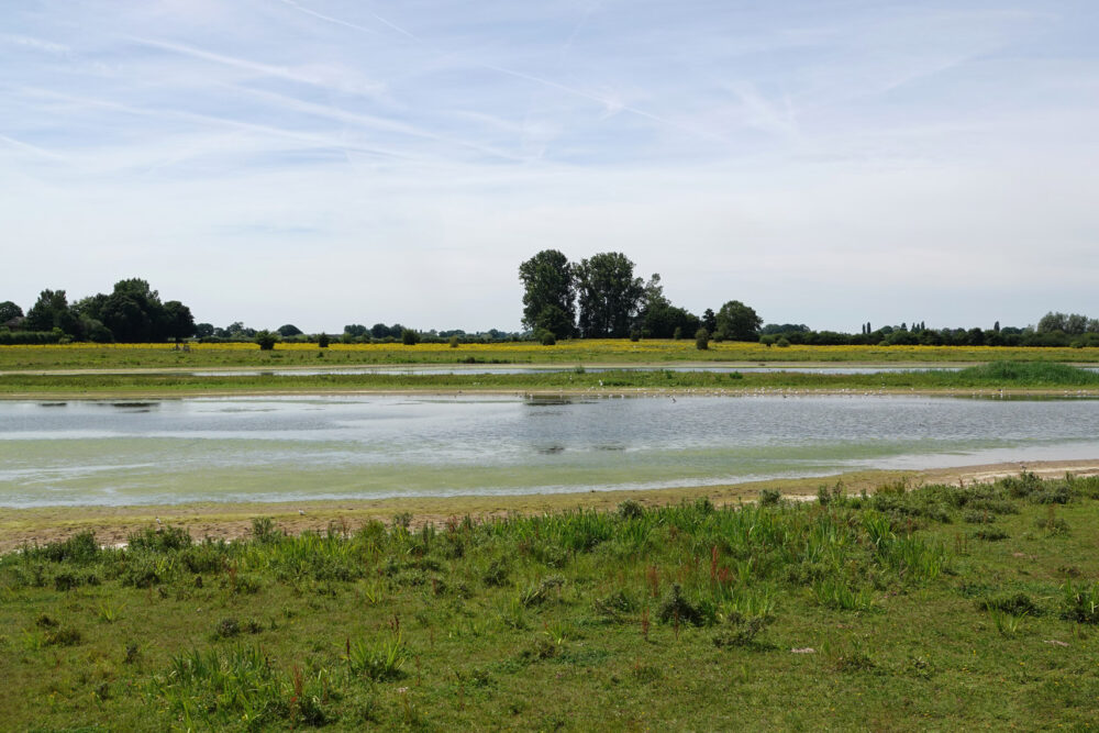 Vreugderijkerwaard