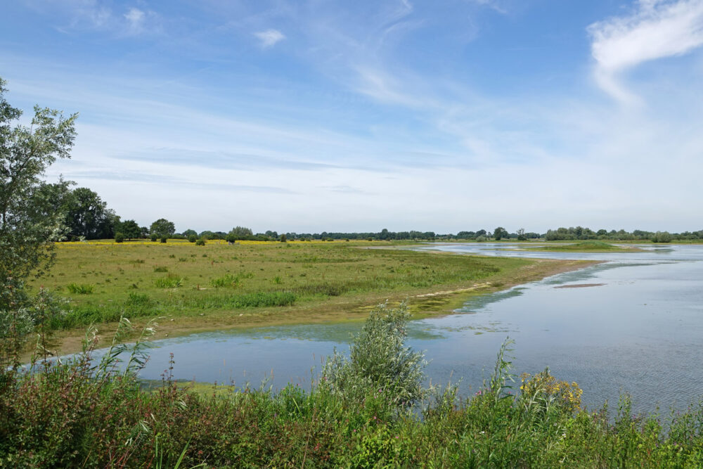 Vreugderijkerwaard