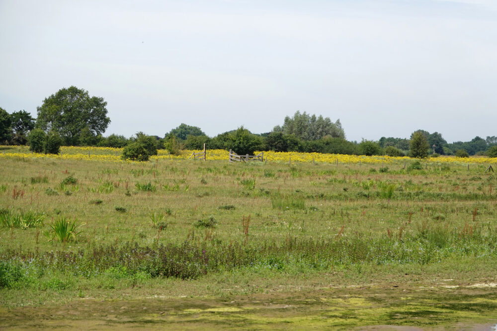 Vreugderijkerwaard