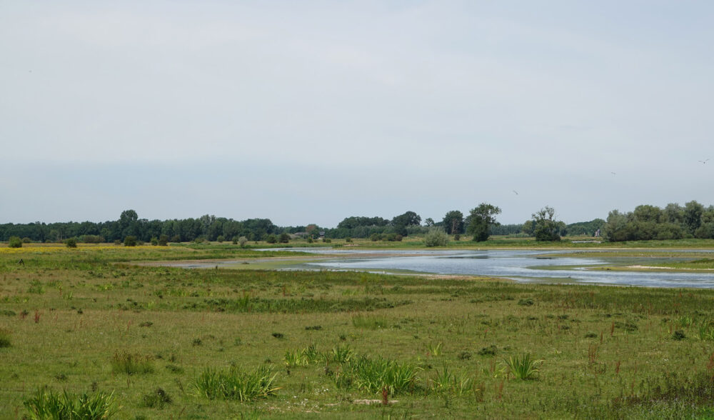 Vreugderijkerwaard