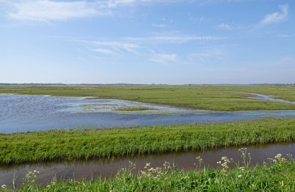 Waalenburg (Texel)
