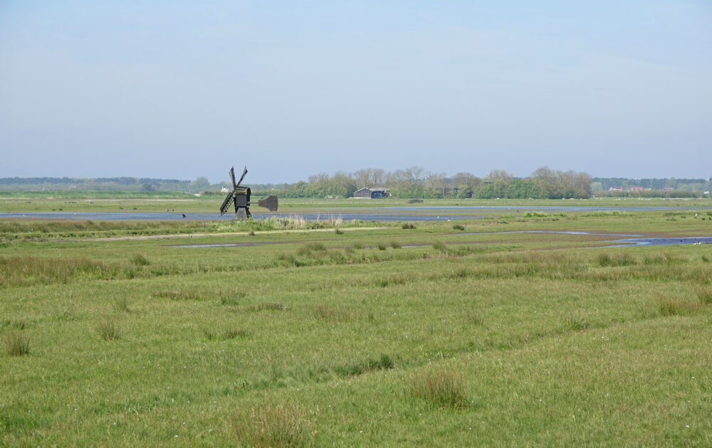 Waalenburg (Texel)