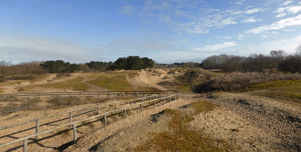 Waalsdorpervlakte