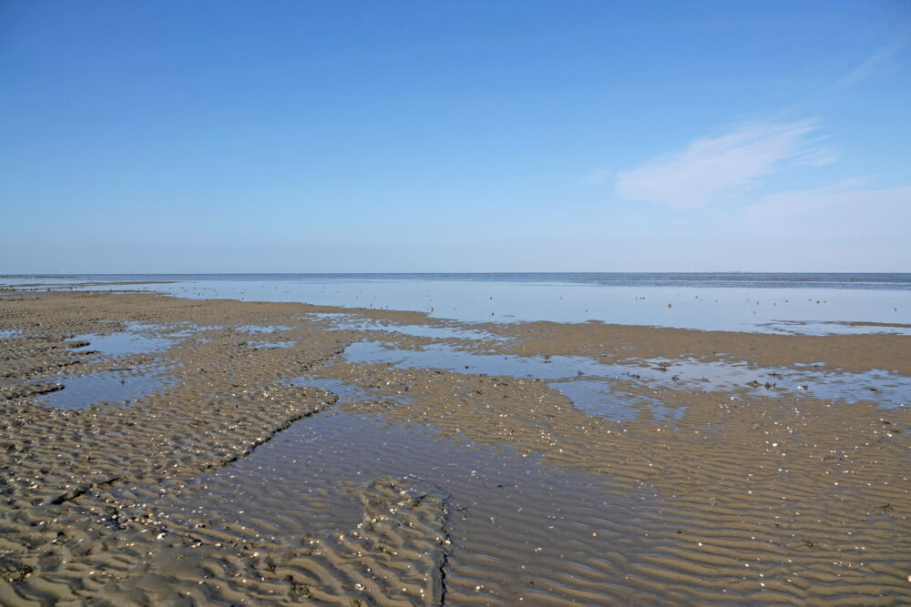 Wad Rommelhoek