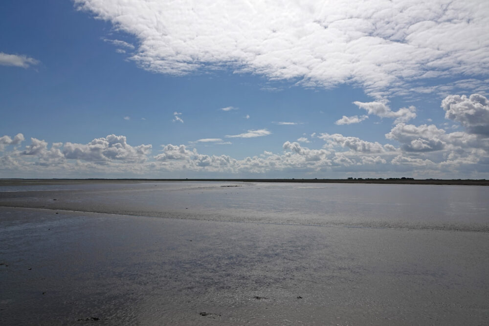 Wad Rommelhoek